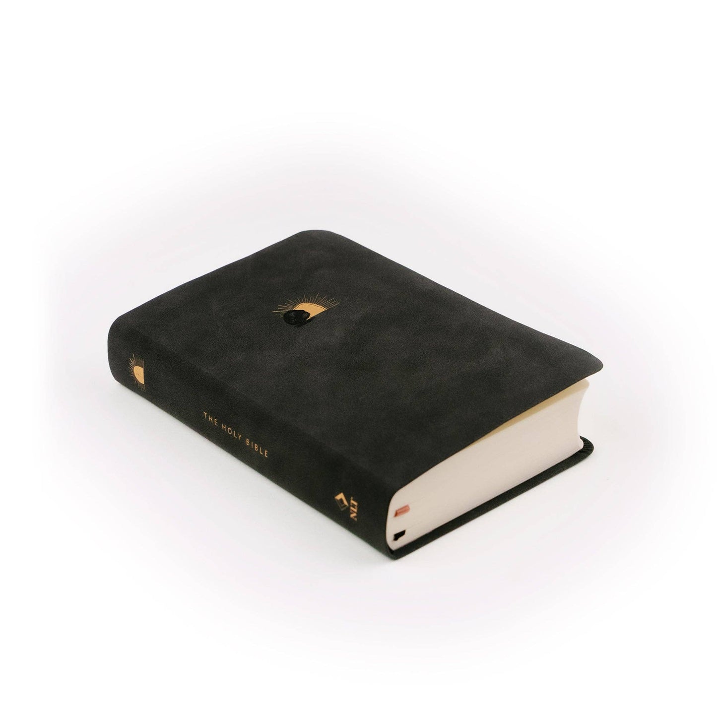 Hosanna Revival NLT Compact Bible: Jerusalem Theme