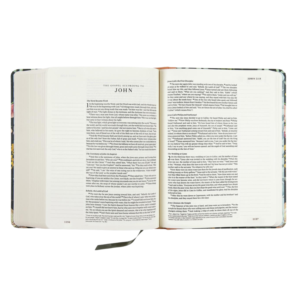 ESV Single Column Journaling Bible®, Butterfly Edition