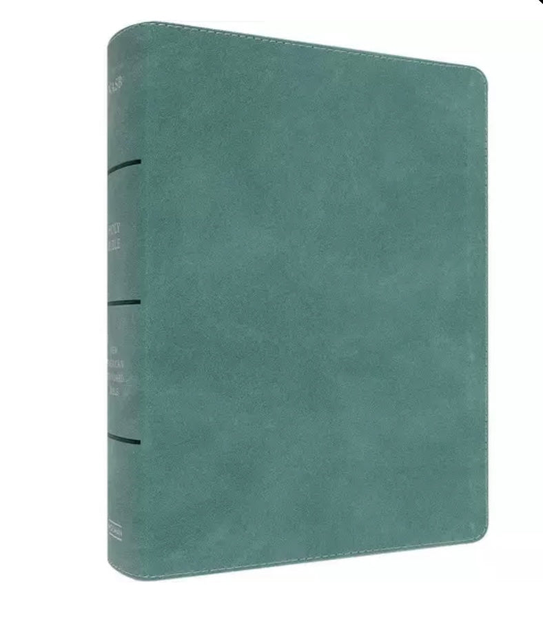 NASB Notetaking Bible Large Print