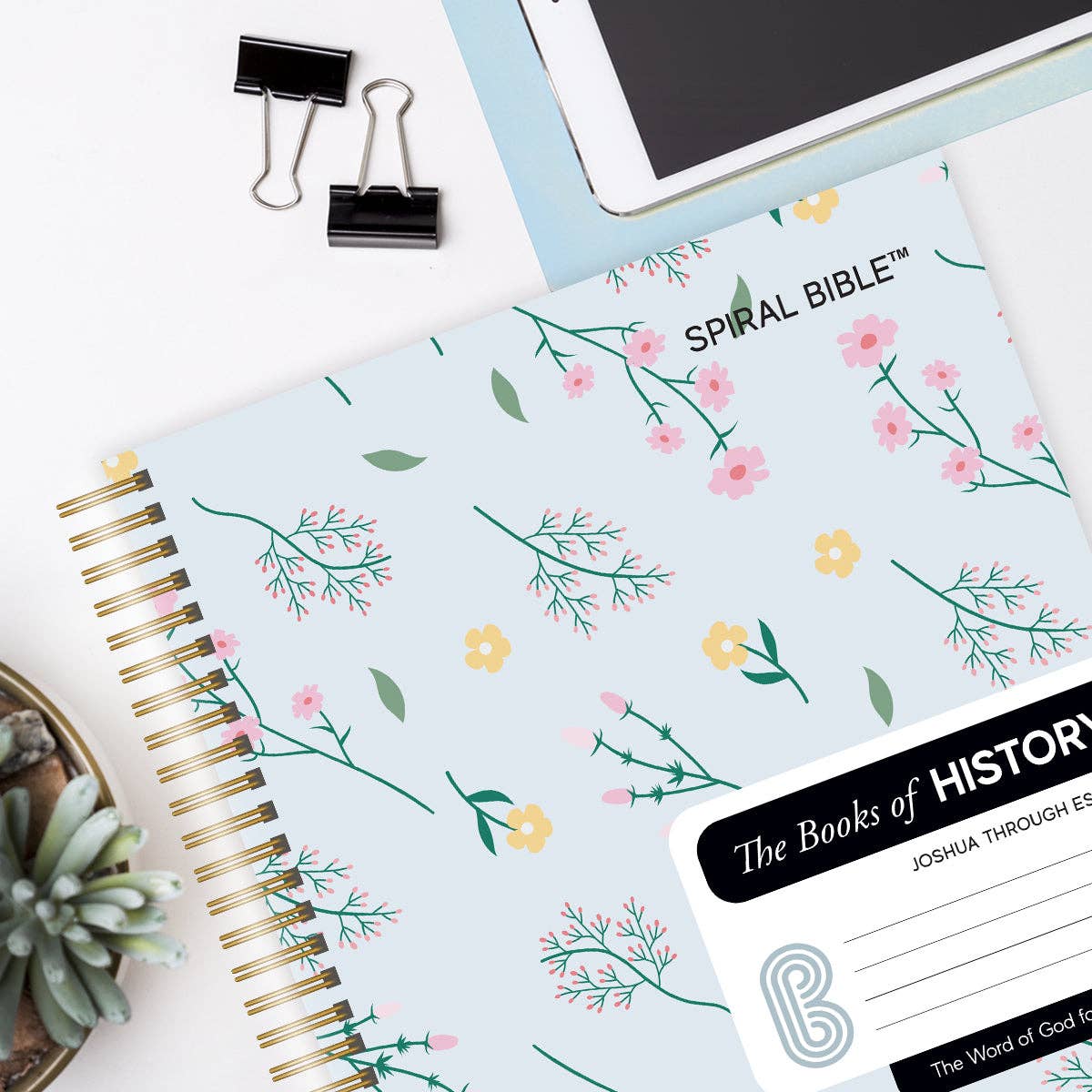 Spiral Bible™ - WEB - Joshua - Esther