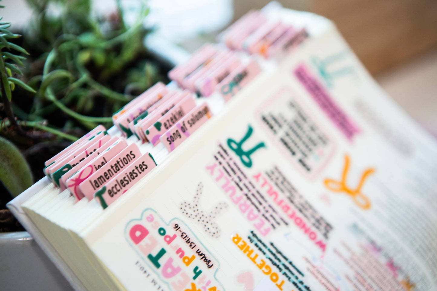 Beautiful Bows Bible Tabs