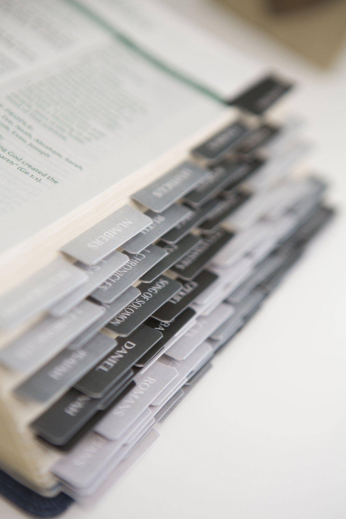 Bible Tabs | Bible Index Tabs- Black and Gray