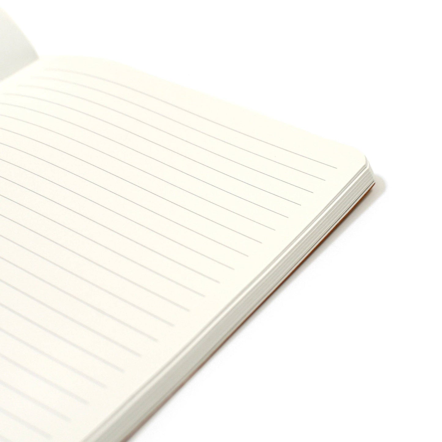 Softcover Journal - Sleek Design with Thick 80 gsm Paper: Blush Pink