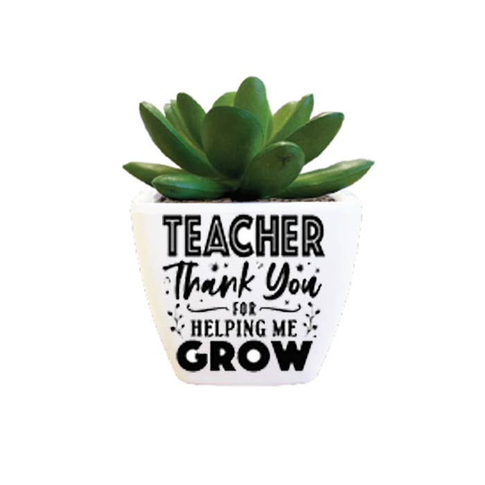 Sentiment Succulent - Teacher