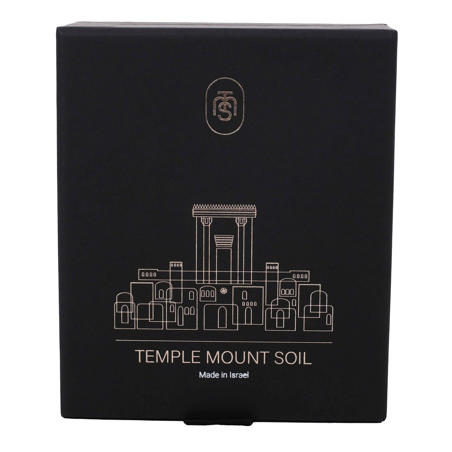Necklace Temple Mount Soil Heart Gold 20"