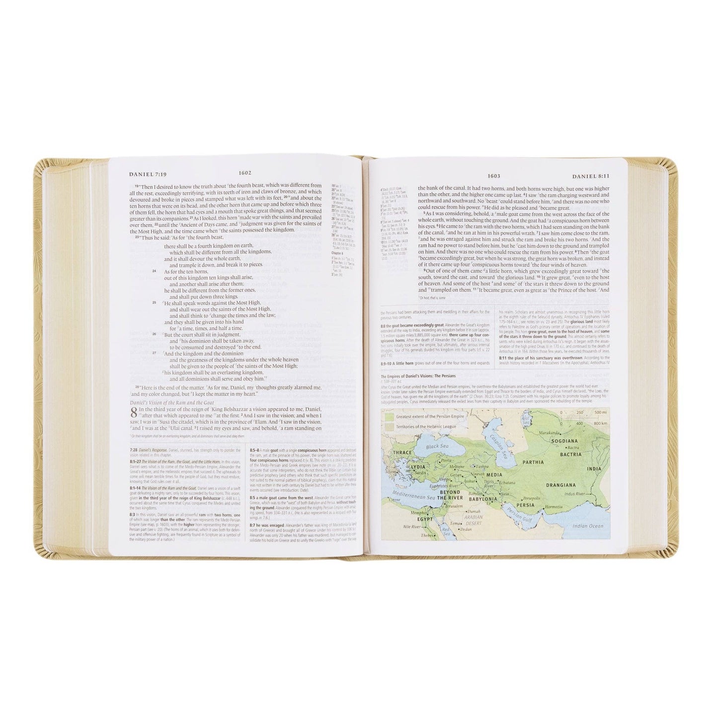 Hosanna Revival ESV Study Bible: Sonora Theme