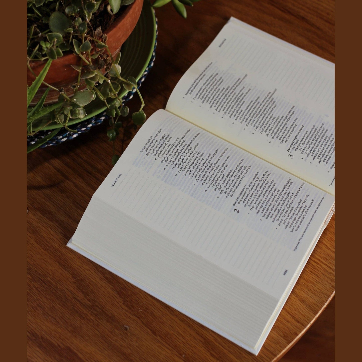 ESV Custom Single Column Journaling Bible®, Floral Hardcover: Marigold