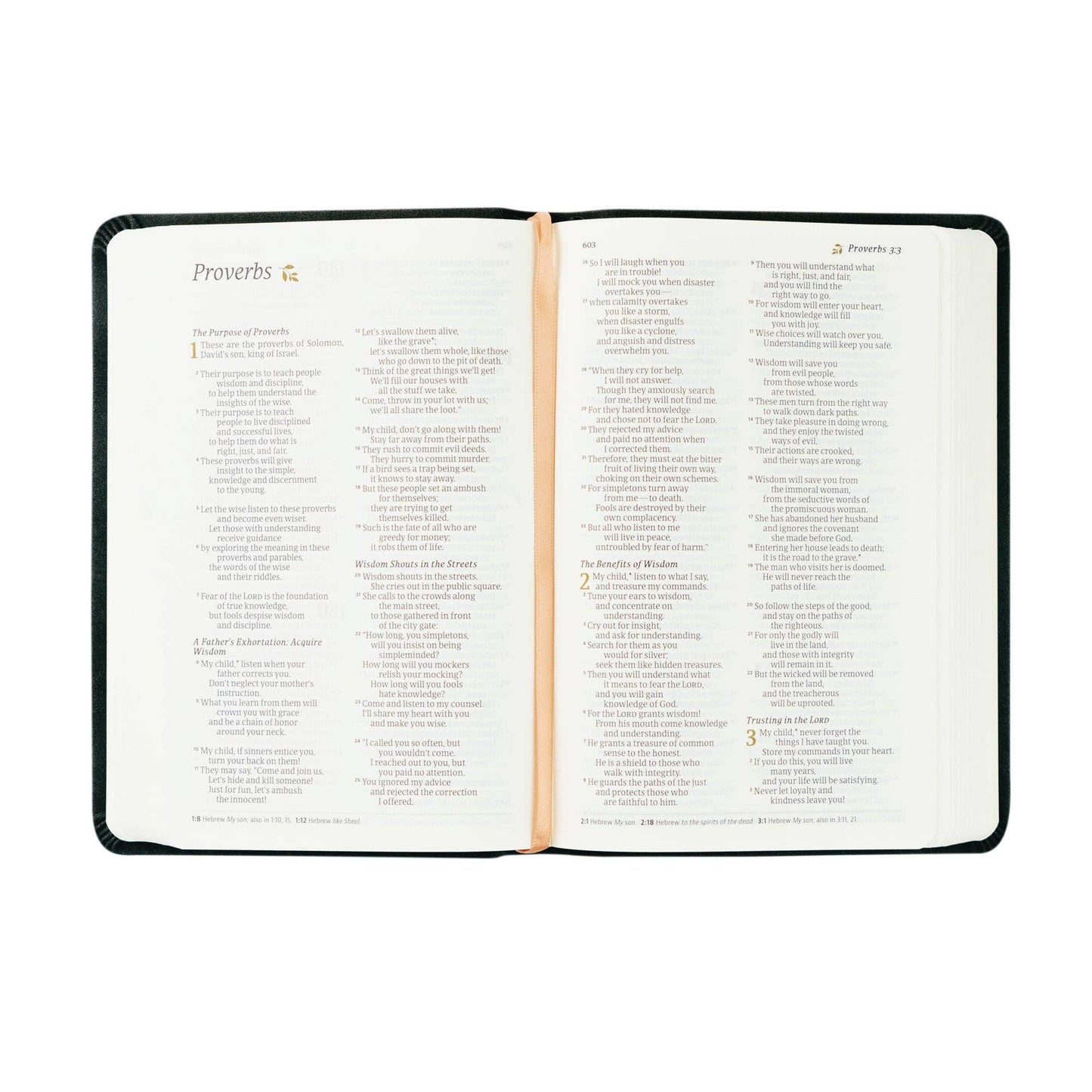 Hosanna Revival NLT Compact Bible: Jerusalem Theme