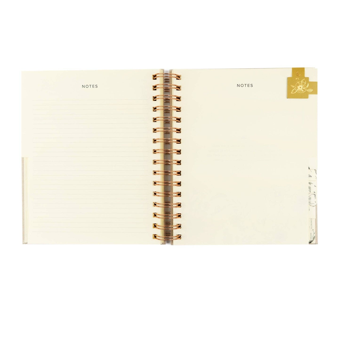 12-Month Undated Planner: Magnolia Springs Design, Spiral