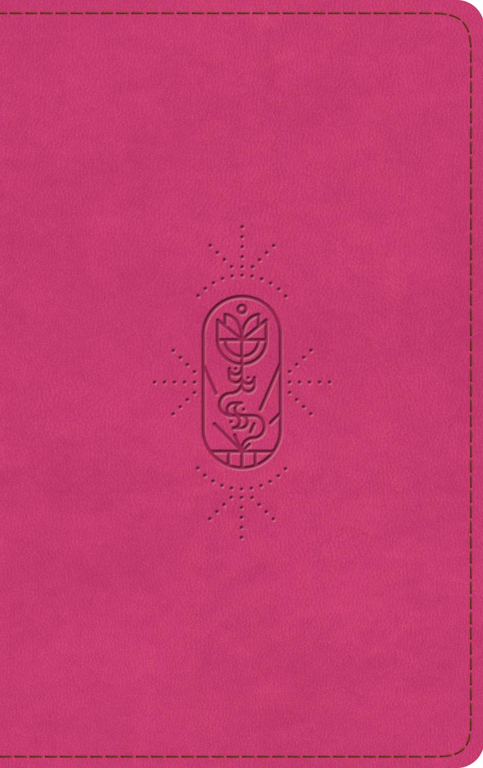 ESV Kid's Bible, Thinline, RL (TT, Berry