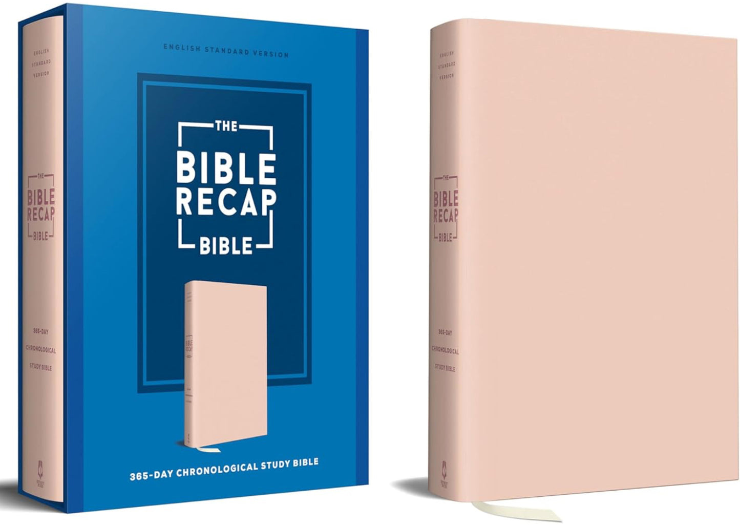 The Bible Recap 365-Day Chronological Study Bible: ESV Study Bible, a Chronological, One Year Reading Plan, with Single-Column Text