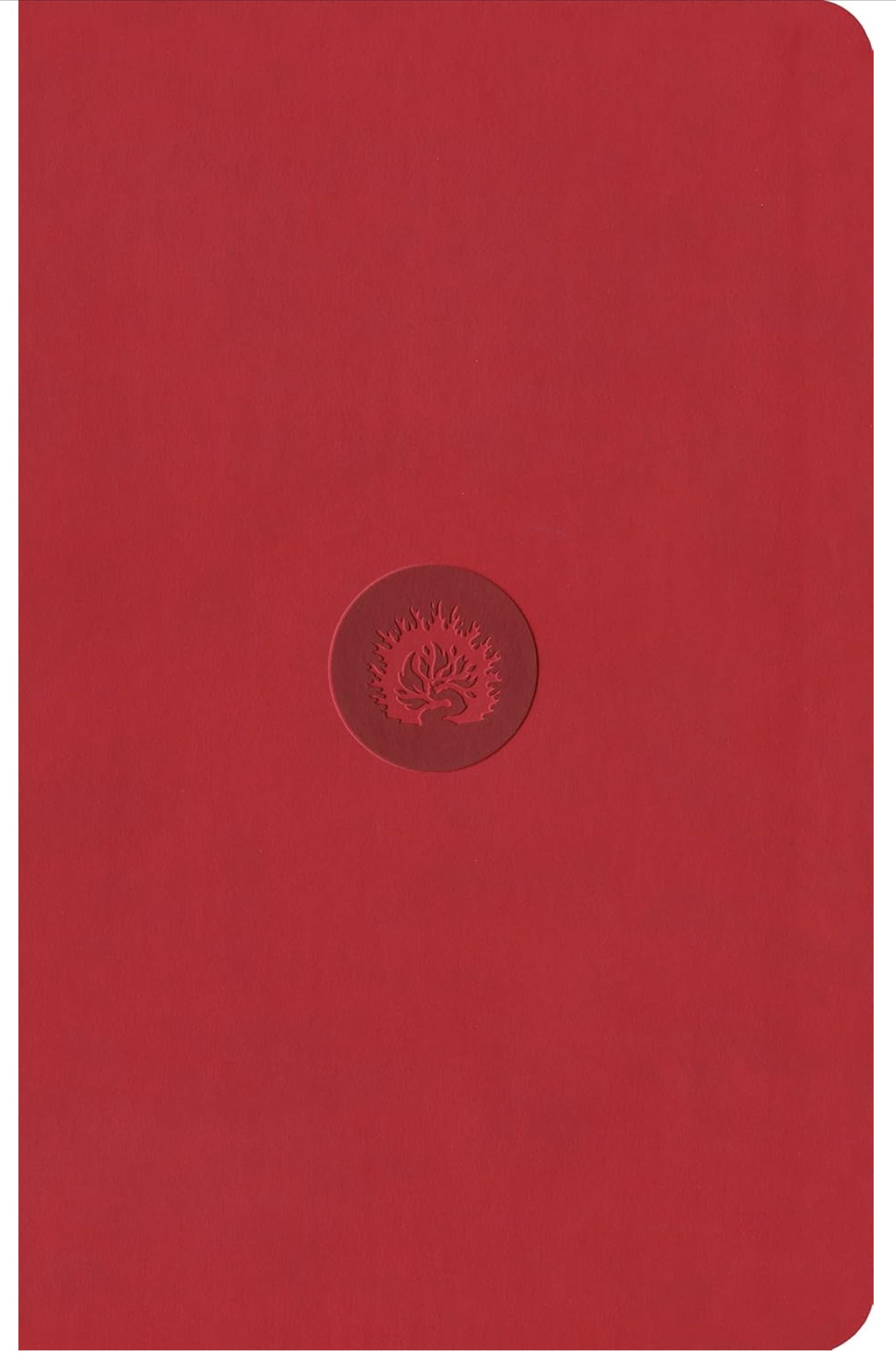ESV Reformation Study Bible Leather like Red