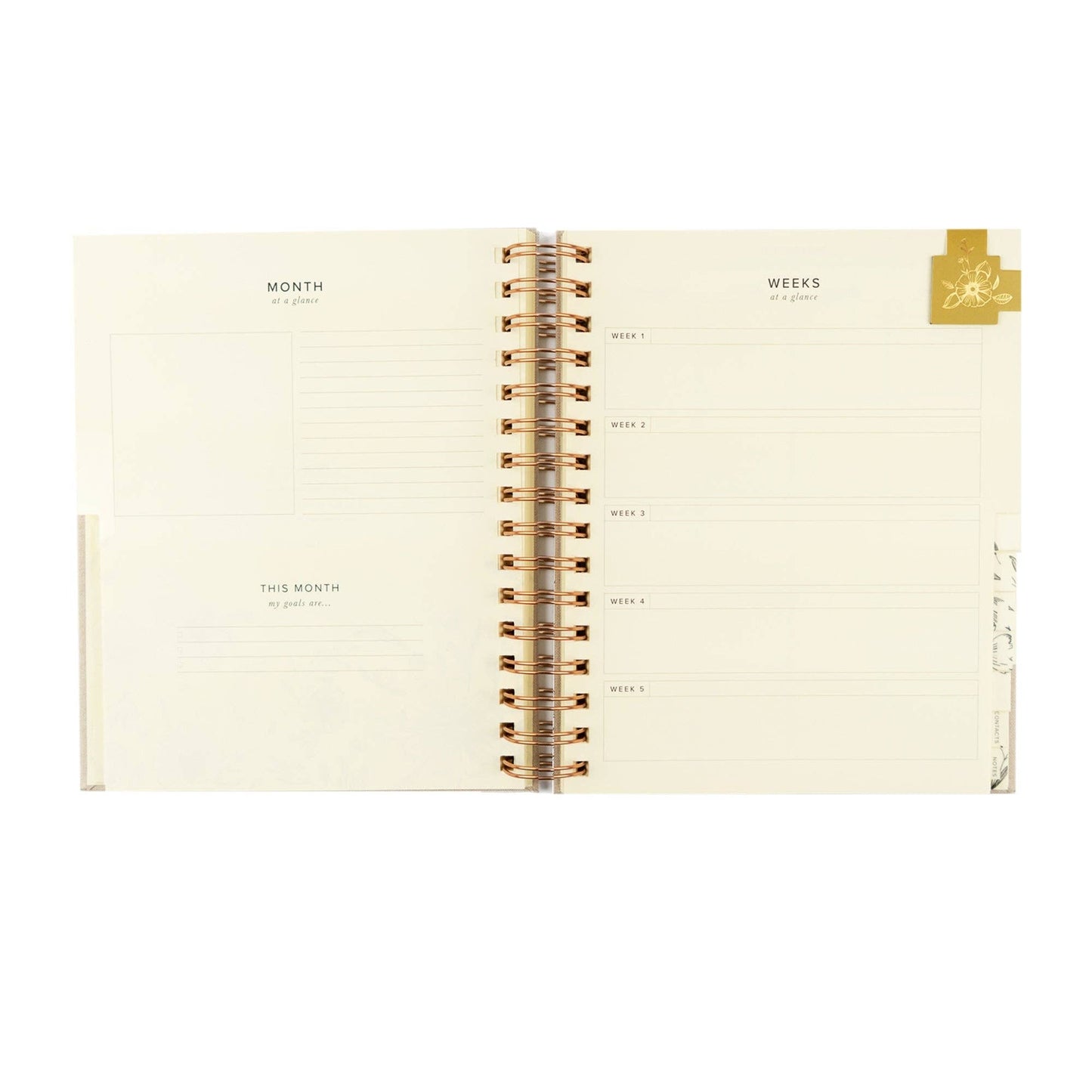 12-Month Undated Planner: Magnolia Springs Design, Spiral