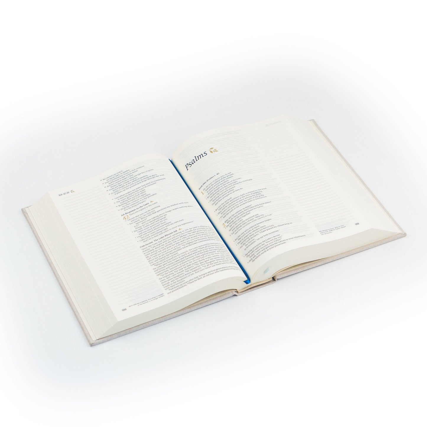 Hosanna Revival NLT Notetaking Bible: Adelaide Theme