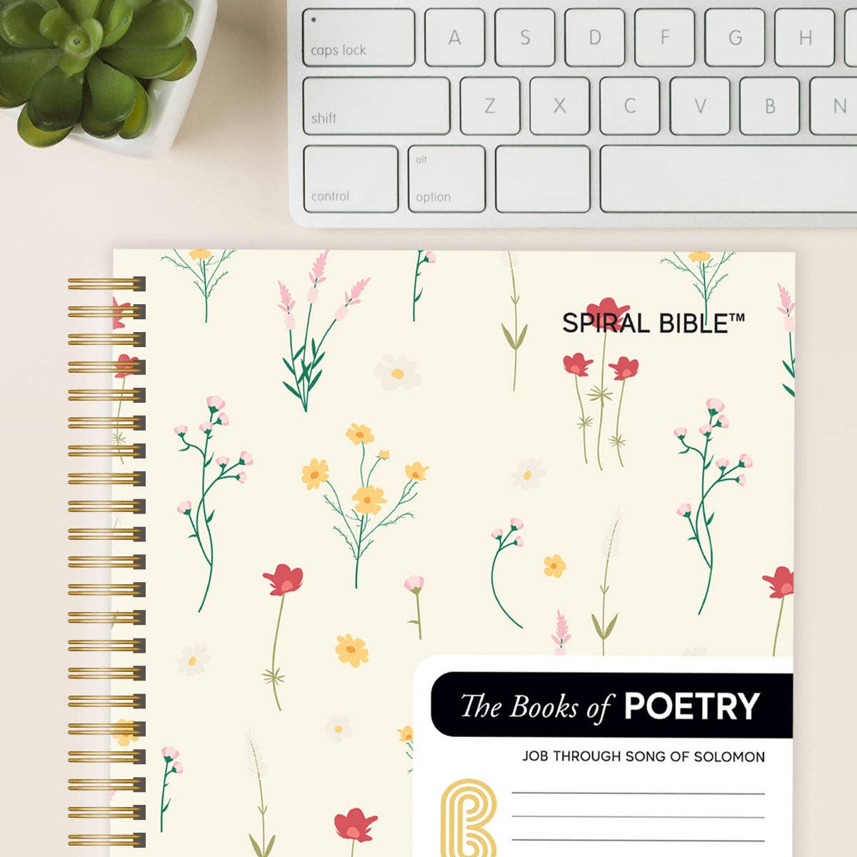 Spiral Bible™ - WEB - Job - Song of Solomon