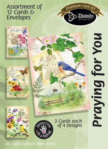 Boxed Cards: Praying For You, Country Wanderings