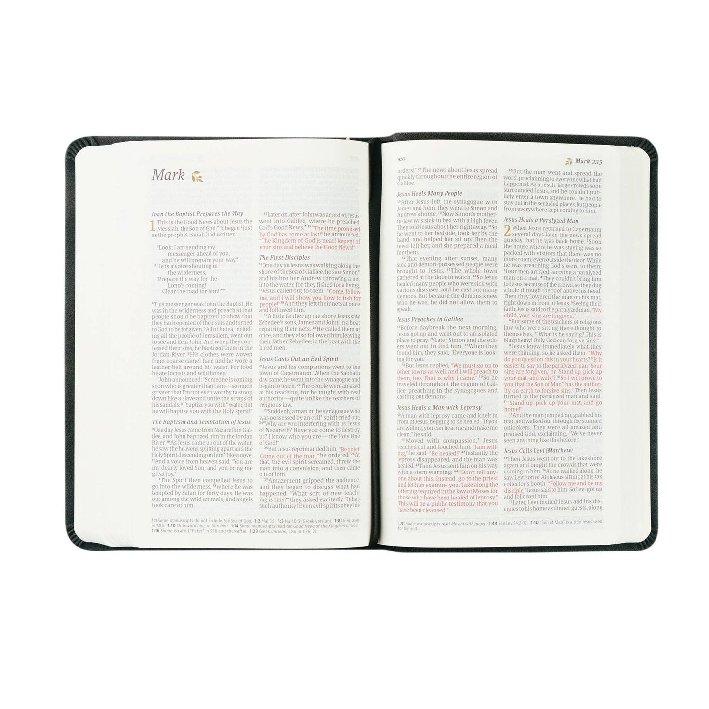 Hosanna Revival NLT Compact Bible: Jerusalem Theme