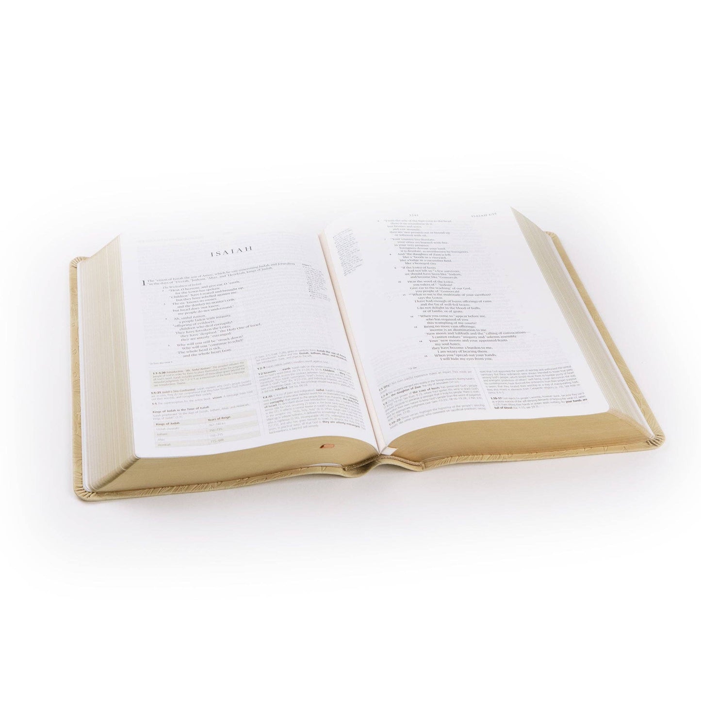 Hosanna Revival ESV Study Bible: Sonora Theme