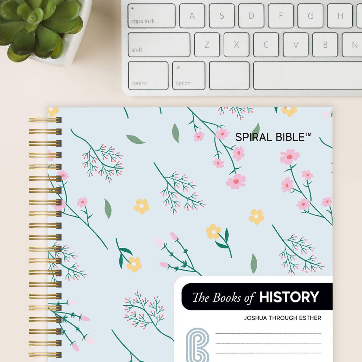 Spiral Bible™ - WEB - Joshua - Esther