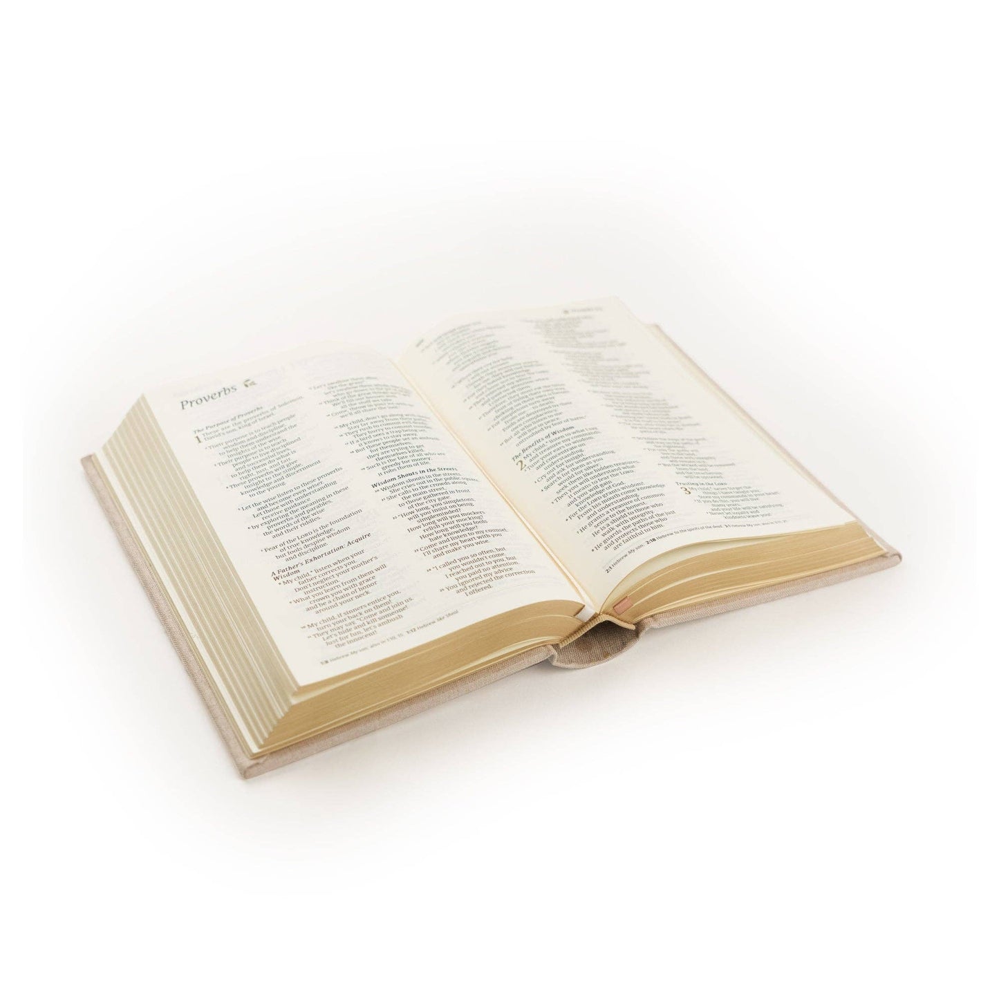 Hosanna Revival NLT Compact Bible: Casablanca Theme