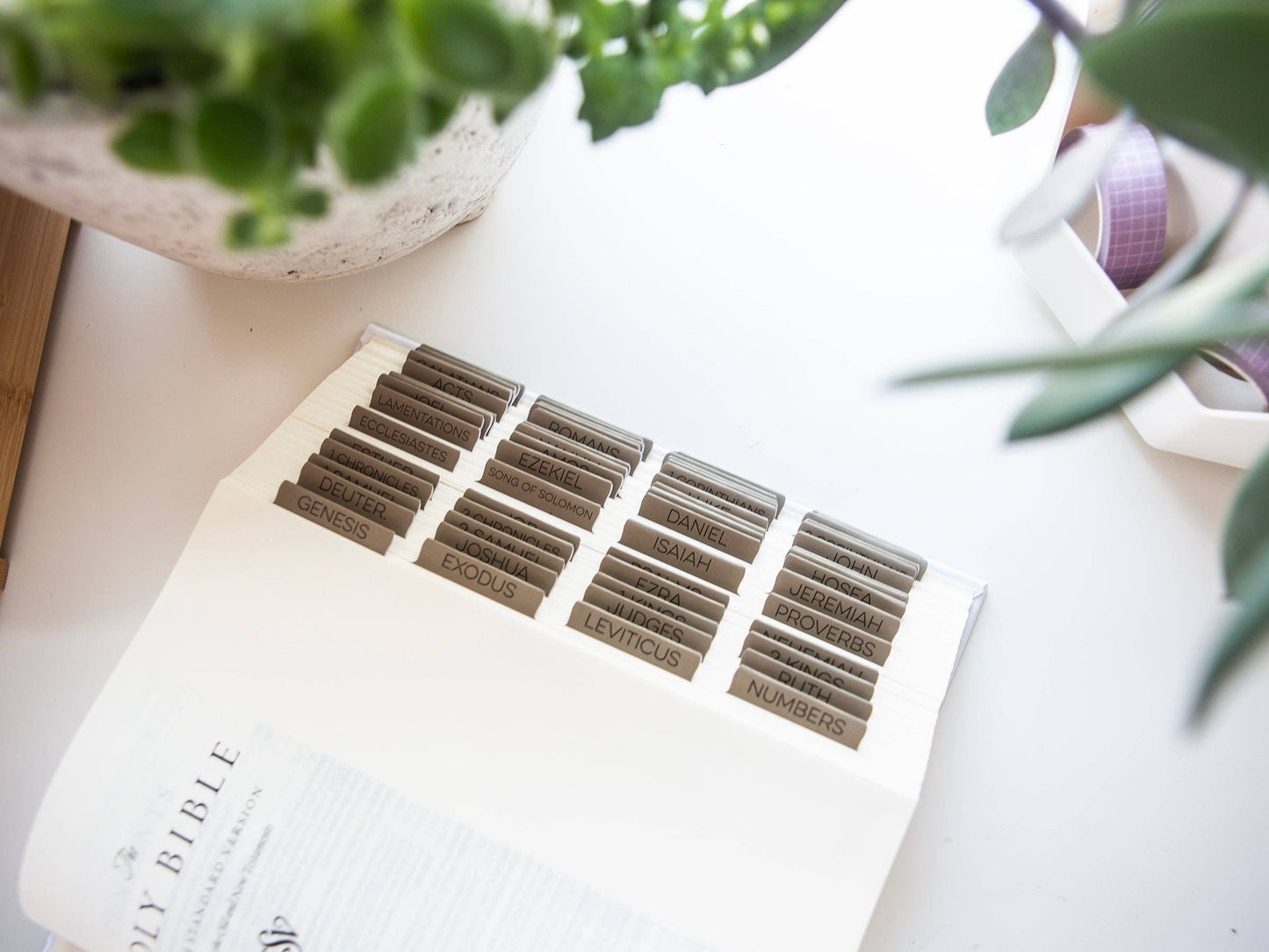Neutral Tan Bible Tabs