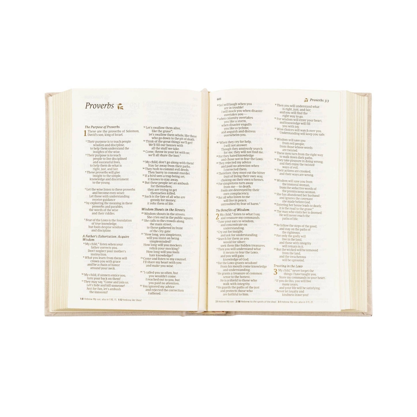 Hosanna Revival NLT Compact Bible: Casablanca Theme